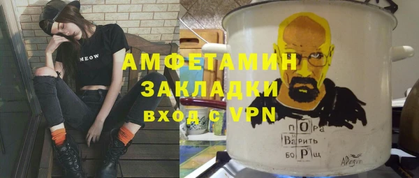 индика Алексин