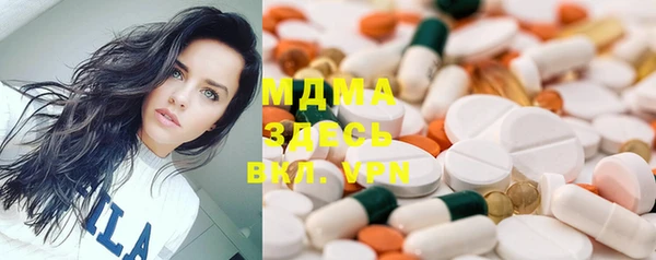 индика Алексин