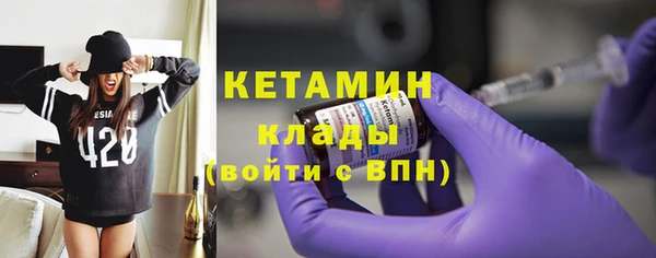 индика Алексин
