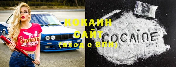 индика Алексин