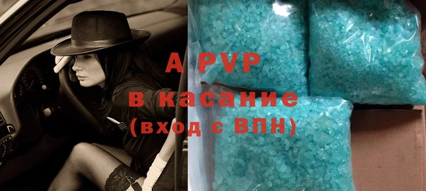 индика Алексин