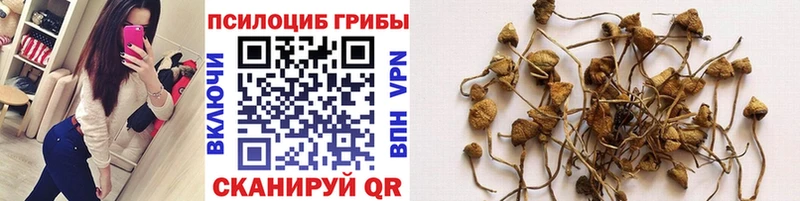 Псилоцибиновые грибы мухоморы  цена   Кыштым 