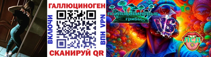 Псилоцибиновые грибы мицелий Кыштым